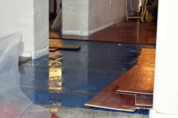 Professional Burst Pipe Cleanup technician working in Calera, AL